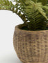 Marks & Spencer "Artificial Fern Plant In Pot"
